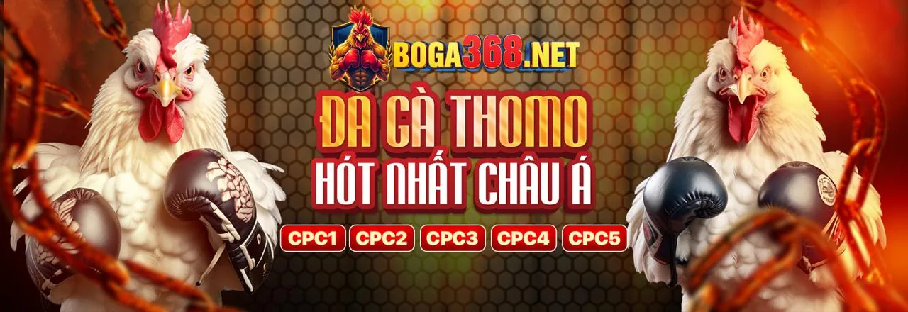 Hướng dẫn chi tiết quy trình đăng nhập 388bet và chơi bắn cá