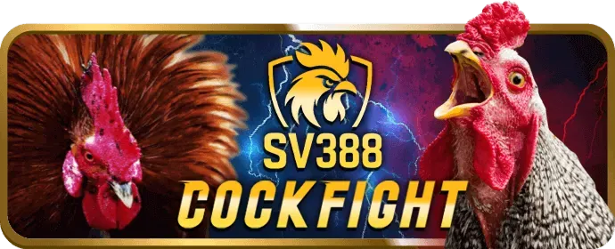 Khuyến Mãi Dành Cho Thành Viên VIP 388BET